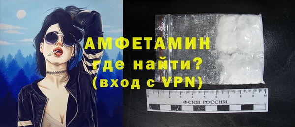 твердый Арсеньев
