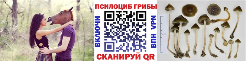 Псилоцибиновые грибы мухоморы  Крым 